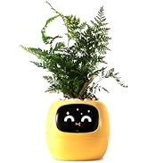 Amazon.co.jp: PLANTSIO アイビー インテリジェントフラワーポット