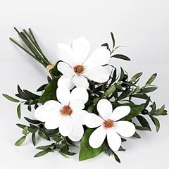 Olive Stems With Magnolia