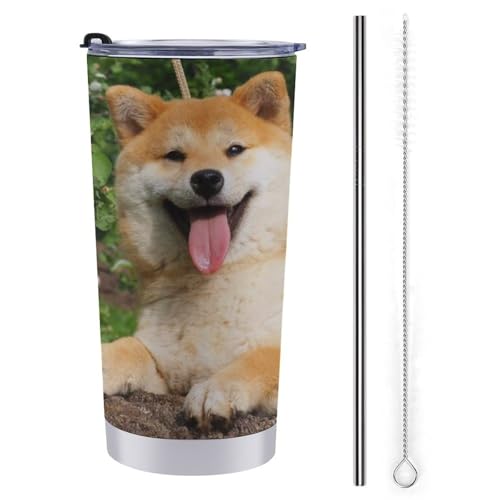 Č    XeX}OJbv |[^u 600ml ۗ ۉ Wt ^u[  d\ 킢 ڂȂRbv sԗp