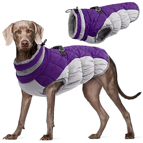 Kuoser Abrigo Impermeable para Perros, Chaqueta Cálida para Perros de Invierno Pequeños y Medianos Grandes, Chaleco para Cachorros con Forro Polar & Tiras Reflectantes Seguras, Ropa para Mascotas Cover