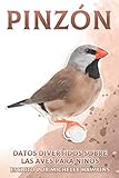  Pinzón: Datos divertidos sobre las aves para niños #14