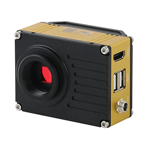 Ratones Inalambricos para Portatil para Niños Marca XINFULI