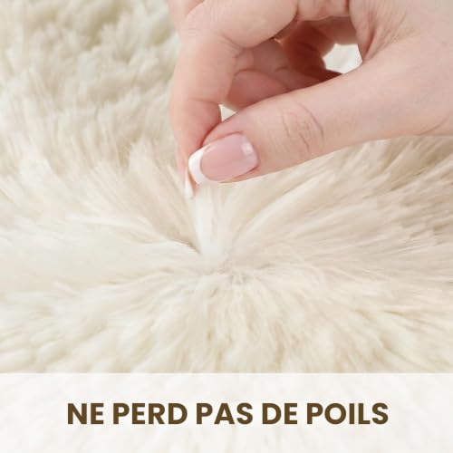 Tapis Citron Acide doux pour chambre ambiance cosy et décoration moderne