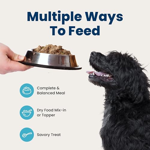 Blue Buffalo Homestyle Recipe Chicken Senior Wet Dog Food, 12.5 oz, 3 ct - image 8