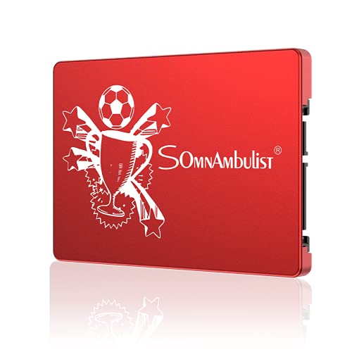Somnambulist SSD 60GB SATA III 6Gb/s 2.5 Unità a