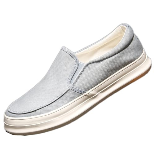 [VEJ] fbLV[Y WMO tBbglX v[g C ^C d ʋC O[ ʋ ʊw  ubN ₷ AEʐ Sn y 芴 25.5cm  Eh~ Vv ɂ Xj[J[