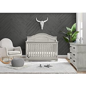 Delta Children Simmons Kids Asher 6 in 1 Convertible Crib with Toddler Rail Rustic Mist