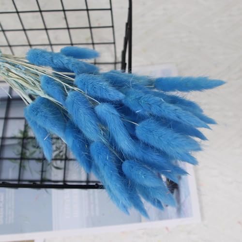 Dried Pampas Grass Décor 20 piezas 45 cm color azul