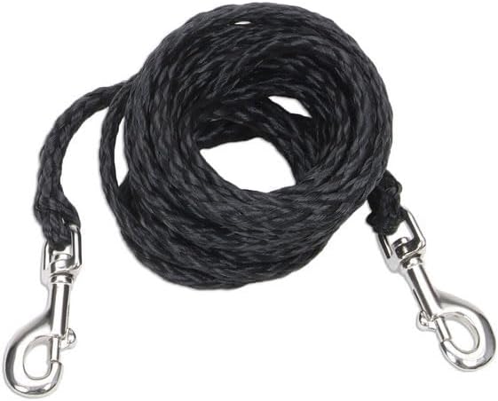 Coastal Pet Poly Big Dog Tie Out - Durable, Heavy-Duty Cable with Nickel-Plated Swivel Snaps - Perfect for the Yard or Campsite - 3/8" x 20'
