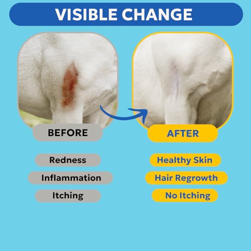 Image of Forticept Dog Wound Care Blue Butter Gel, Hot Spot Treatment for Dogs, Itch Relief, Moisturizing, Prevents Infection, Scratches & Skin Ulcers, Cracked Paw Pads Gel, 3 Ounces (3 OZ)