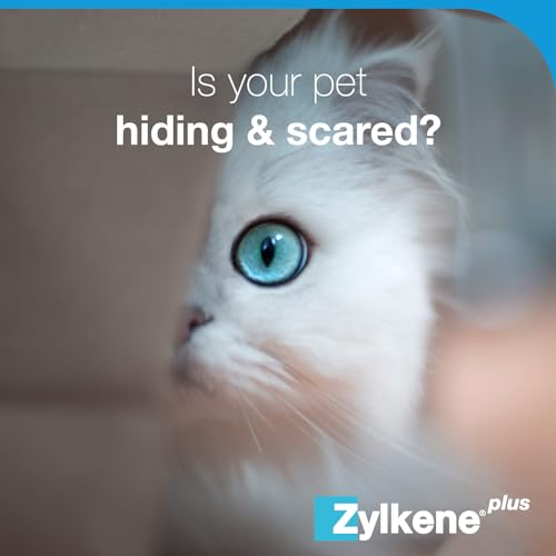 Zylkene Plus Calming Supplement for Cats & Dogs up to 10kg, Green capsule, Cats & Small Dogs - Image 4