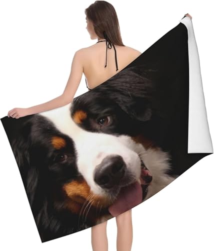 o[j[Y}EehbO  oX^I 唻 z y  R hL ӂӂ Ԃp ƒp q  lC v[g