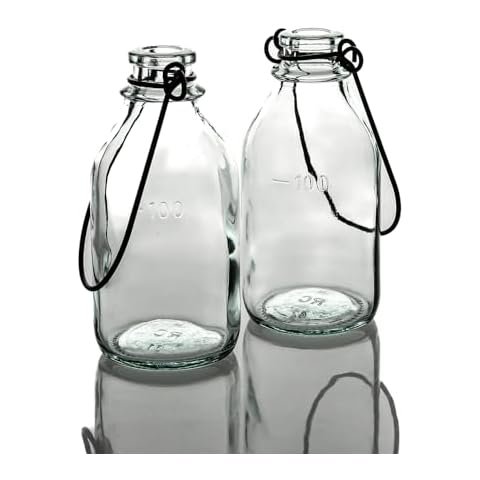 Richland Vintage Bottle Hanging Vases Cover