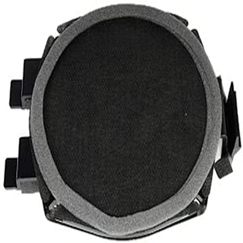 Amazon.com: GM Genuine Parts 19116641 Front Door Radio Speaker 