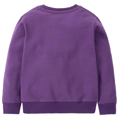 Image of Hongshilian Unisex Kids Cute Cartoon Cotton Sweater Shirt