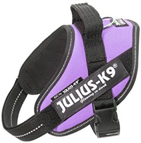 Julius-K9, 16IDC-B-M, IDC Powerharness, dog harness, Size: S/Mini, Blue