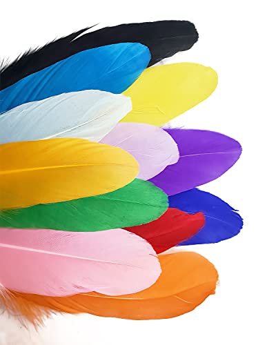 120 Pcs 6-8 Inch 12 Colorful Goose Feather For Crafts, Jewelry Making, Dream Catchers, Home Or Party Decorations #TOP4