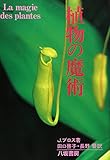 植物の魔術