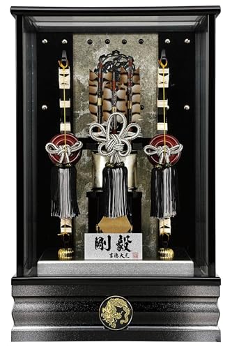 j| g P[X B 11 ڂP[X ʎKX Ɩ\ h081-ys-210629