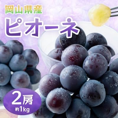 (先行受付)岡山県産ピオーネ 約1kg(約500g×2房)