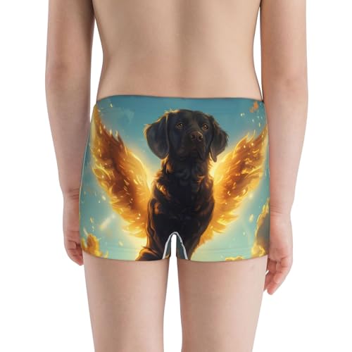Boys' Cotton Boxer Brief Soft Underwear-Golden Cloud Winged Dog3