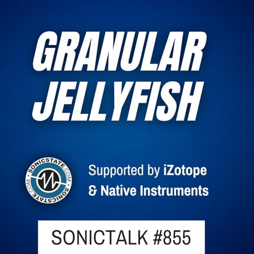 Sonic TALK 855 - Hikari Reverb. JellyFish Granular, SWAY SY77 And MORE cover art