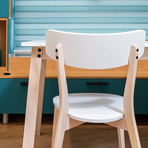 6 Sizes Plastic Hole Plugs, 3/16",1/4", 3/8", 1/2", 5/8", 3/4" Screw Hole Plugs Screw Plastic Covers Furniture Hole Plug Assortment For Locking Hole Tube Furniture Cabinet (200Pcs, Black) #TOP5