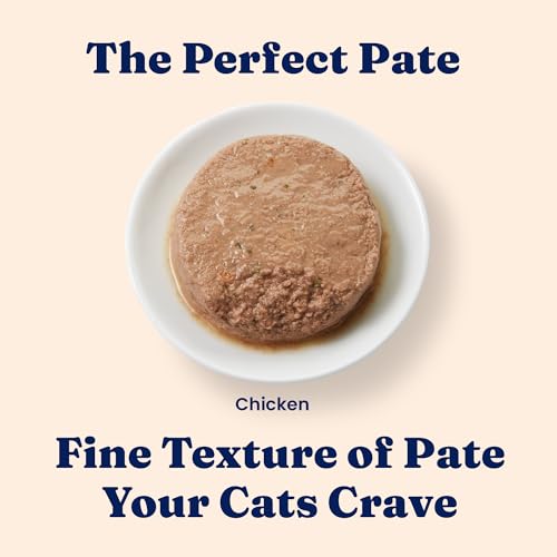 Image of Solid Gold Wet Cat Food Pate for Indoor Cats - Healthy Canned Cat Food Pate w /Real Chicken, Omega Fatty Acids, Vitamins & Minerals - Grain Free & Gluten Free Can Meals for Cats & Kittens - 24ct /3oz