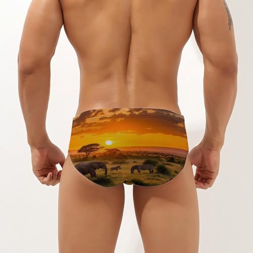African Animals Wildlife Sunset Men's Swim Trunks Briefs Swimsuit Swimwear Bathing for Underwear Beach2