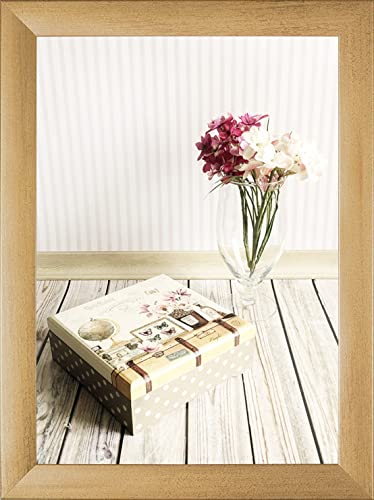 Cadre photo 65x50 cm Orion pour protéger affiche sans risque casse