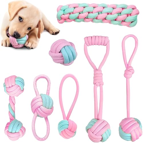 dog rope toys