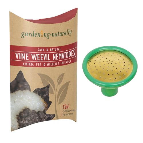 Vine Weevil Nematode - 12 sq.m with Coarse Watering Can Rose