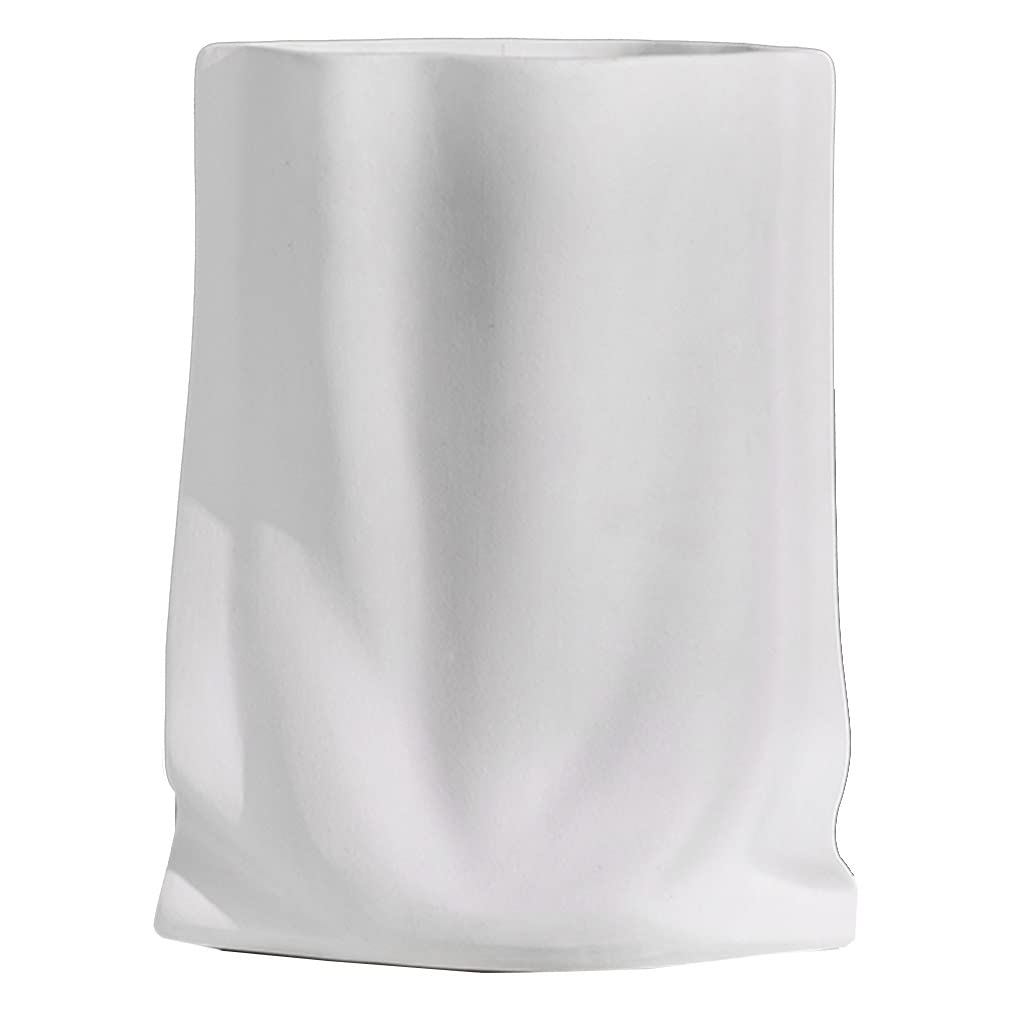 GPDNBIEU, Art Bud Vase Ceramic Flower Arrangement, Nordic Decorative for Living Room Shelf Decor(White)