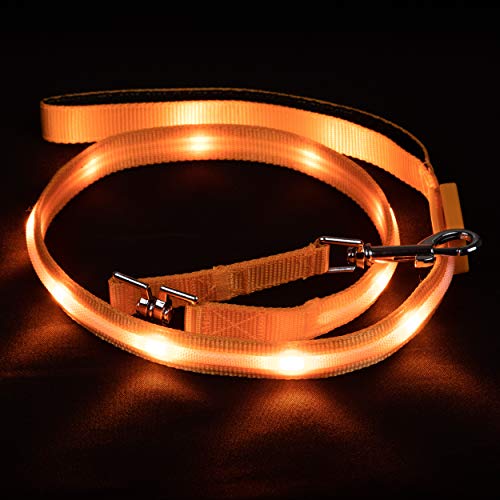 Blazin' Correa de seguridad LED para perro – Cable de luz intermitente recargable por USB, 4 pies, resistente al agua – Ligero (S, naranja)