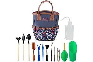 Garden Succulent Kit: Good Gain for Bonsai & Mini Planters