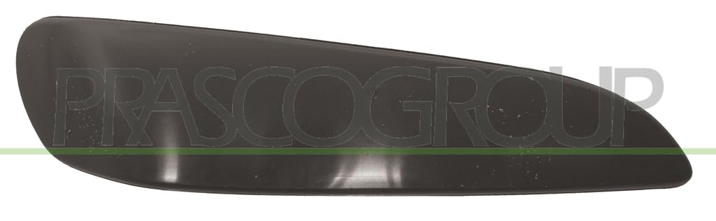 Right Front BLIC 5513-00-8101926Q Trim/Protection Strip, bumper for TOYOTA