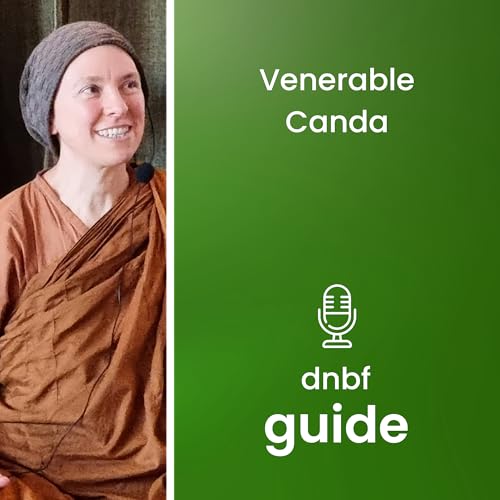 Programming mindfulness | EN | Venerable Canda