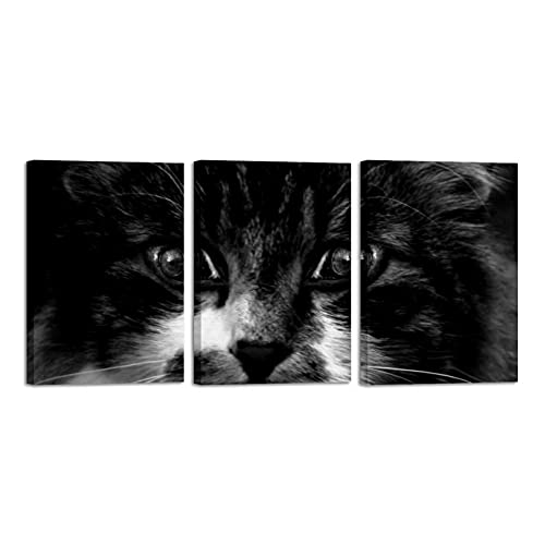 Toile chat gris encadrée pour créer un salon chaleureux