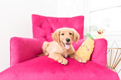 ZippyPaws NomNomz® – Ananas