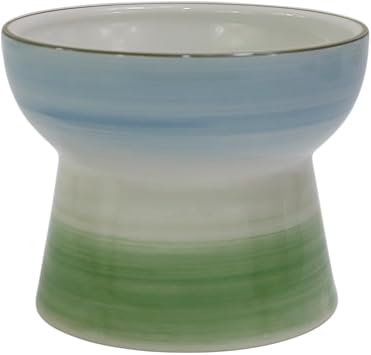 Elevated Cat Food Bowl, Raised Food and Water Bowl for Cat and Small Dog, Ceramic Water Bowls Dish No Spill,Whisker Fatigue Food Dish Dishwasher Safe,10 OZ,Blue & Green