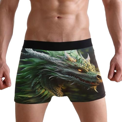 Green Dragon Men's Boxer Briefs S 202a54513