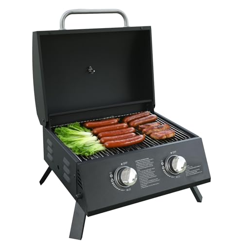 Portable Gas Grill with Dual Burners