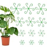 NVGVUP 12 Stück Pflanzenstütze Staudenhalter, Vier Größen Pflanzenstielhalter, Pflanzenhalter Pflanzenklammern zur Unterstützung, Pflanzstützgreifer für Monstera, Blumen, Hortensien, Tomaten (Grün)