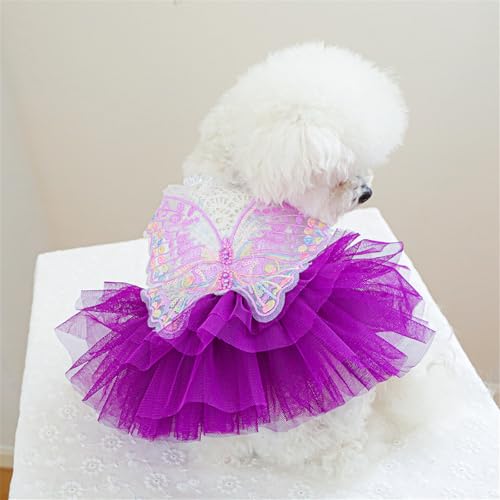 Disfraz vintage para perro pequeño vestido tul con encaje miniatura 3