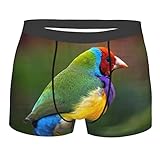 Oiseau Diamant De Gould Homme Boxer Shorty Breathable Boxershorts Fitted Caleçons Classique sous-Vêtements, Boxer Briefs 4125, M