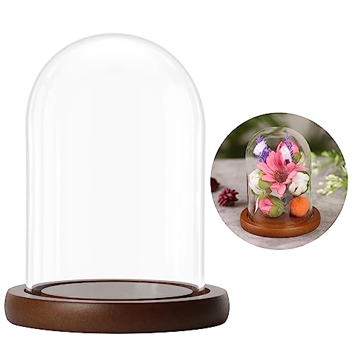 Belle Vous Campana de Cristal con Base marrón de Madera – 9,4 cm de Altura – Mini Campana de Cristal Transparente para Luces, Plantas y decoración de Mesa