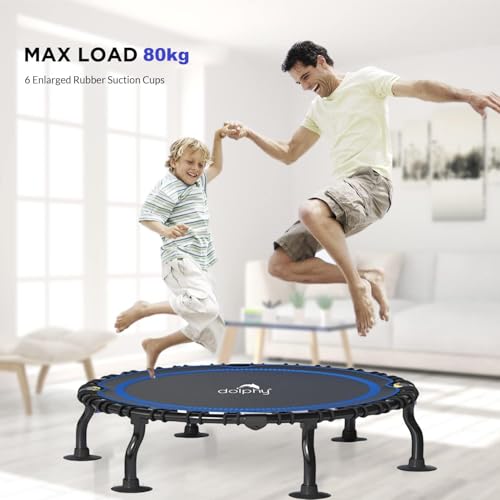 Image of Dolphy 40 inch Foldable Trampoline Rebounder Exercise Jumping Cardio Trainer, Covered Bungee Rope System for Adults /Kids /Indoor /Outdoor /Garden /Yoga Workout Fitness - Max Limit 80 kg.