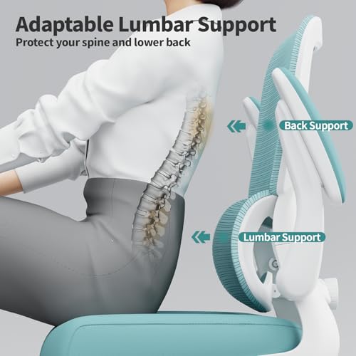 Image of TRALT Office Chair - Ergonomic Desk Chair with Adjustable Lumbar Support, Mesh Computer Chair, Executive Chair for Home Office Comfortable Lumbar Support (1, Mint Green)