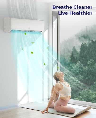 Oylus Mini Split AC Expert Tips