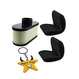Race-Guy Air Filter For Bobcat 4164631 Gravely 21548000 Ariens 21548000 Kawasaki 11013-0726